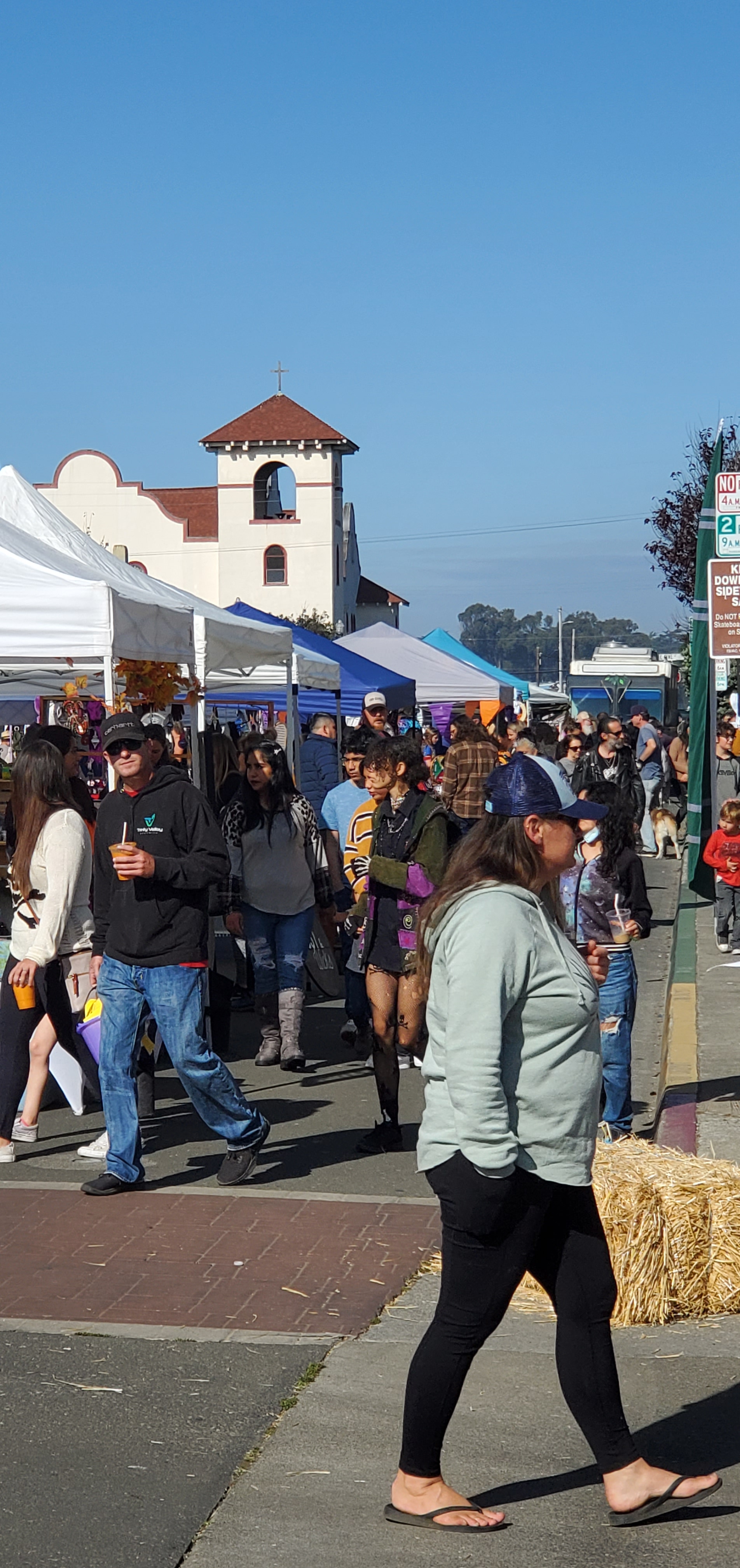 Things to do in Fort Bragg – Enjoying the Mendocino Coast